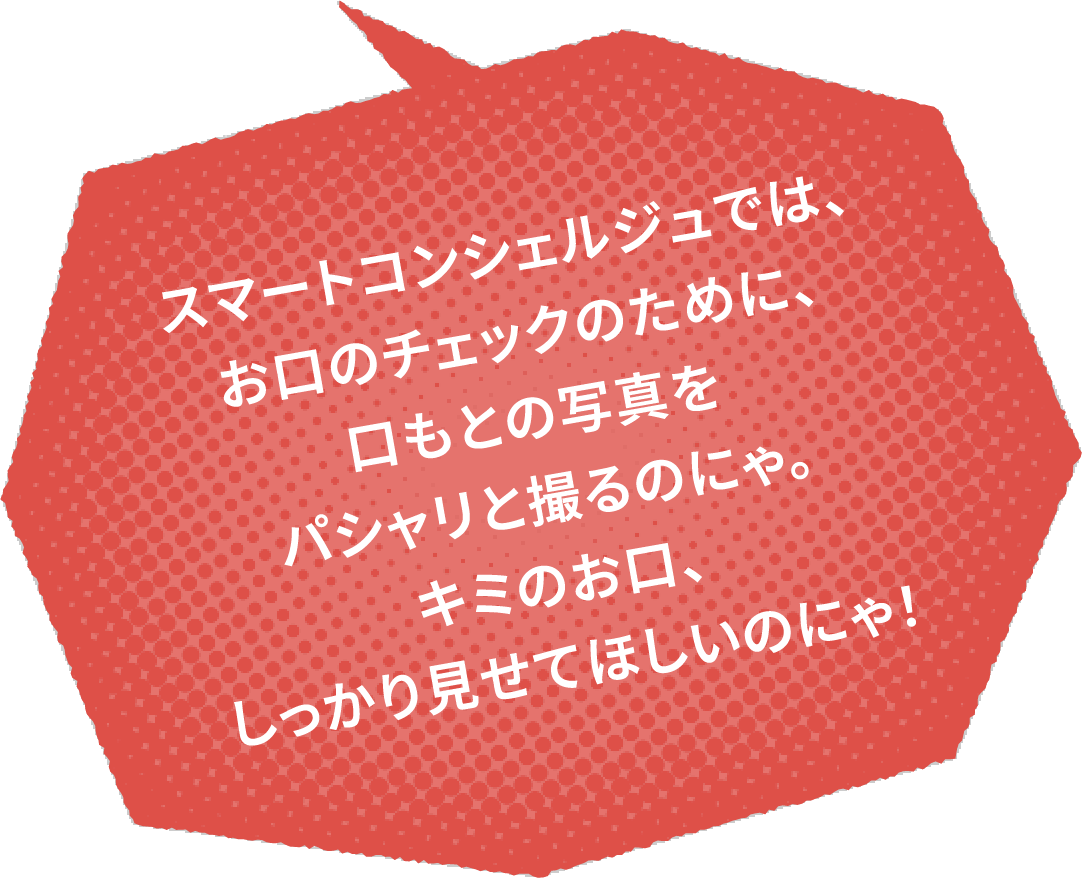 スマートコンシェルジュでは、お口のチェックのために、口もとの写真をパシャリと撮るのにゃ。キミのお口、しっかり見せてほしいのにゃ！