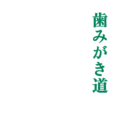 歯みがき道 - 己を知る道磨く道