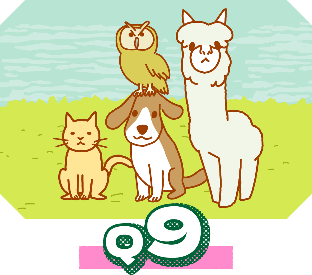 q9